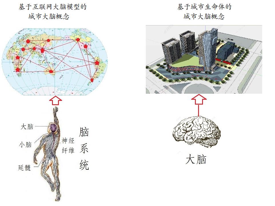 An overview of the definition and theoretical basis of the urban brain