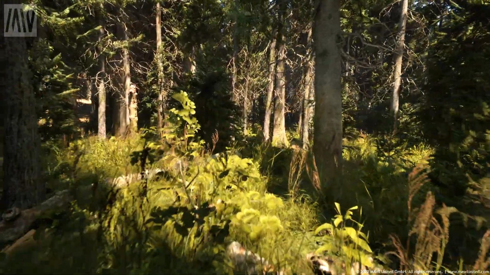 Unreal 5 Engine 
