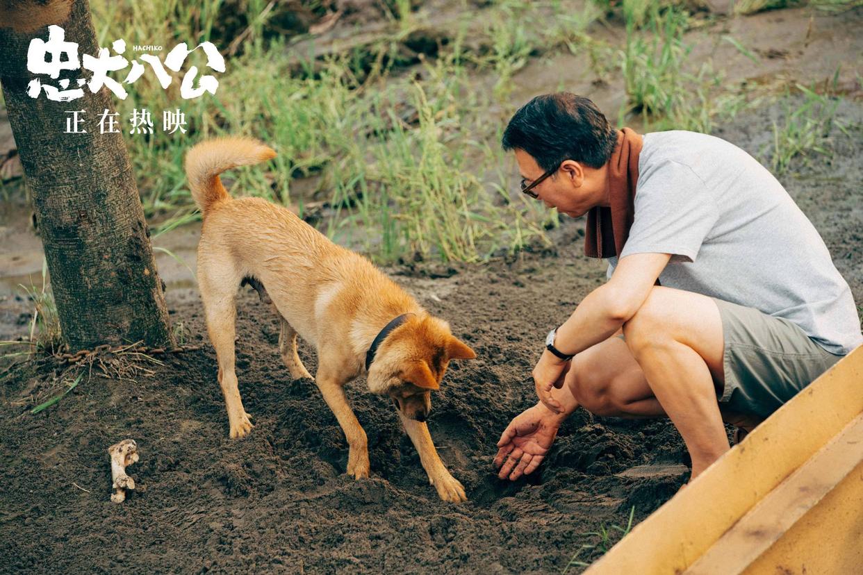 Who are the main actors in the movie "Hachiko"? iMedia