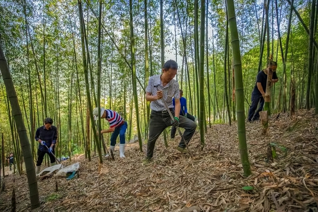 The Dongpo Origin of Tianmu Hot Pot iMedia
