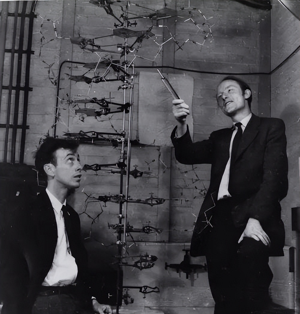 Stolen Secret: Who Discovered the DNA Double Helix Structure? - iMedia
