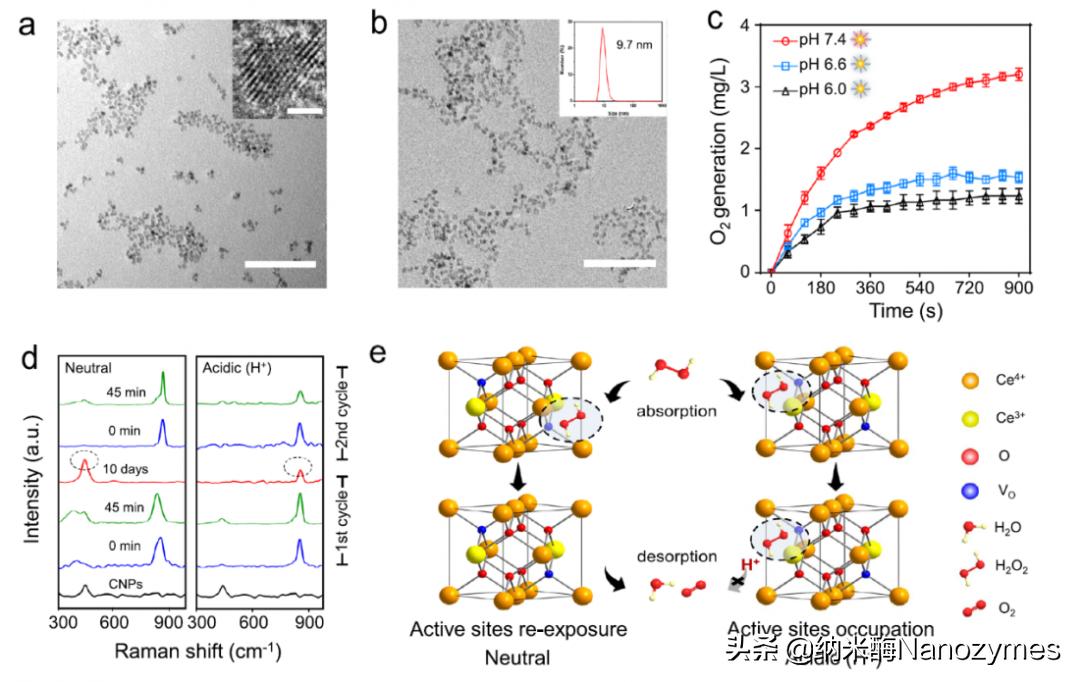 CeO2 Nanoparticles with Tunable Catalytic Activity - iNEWS