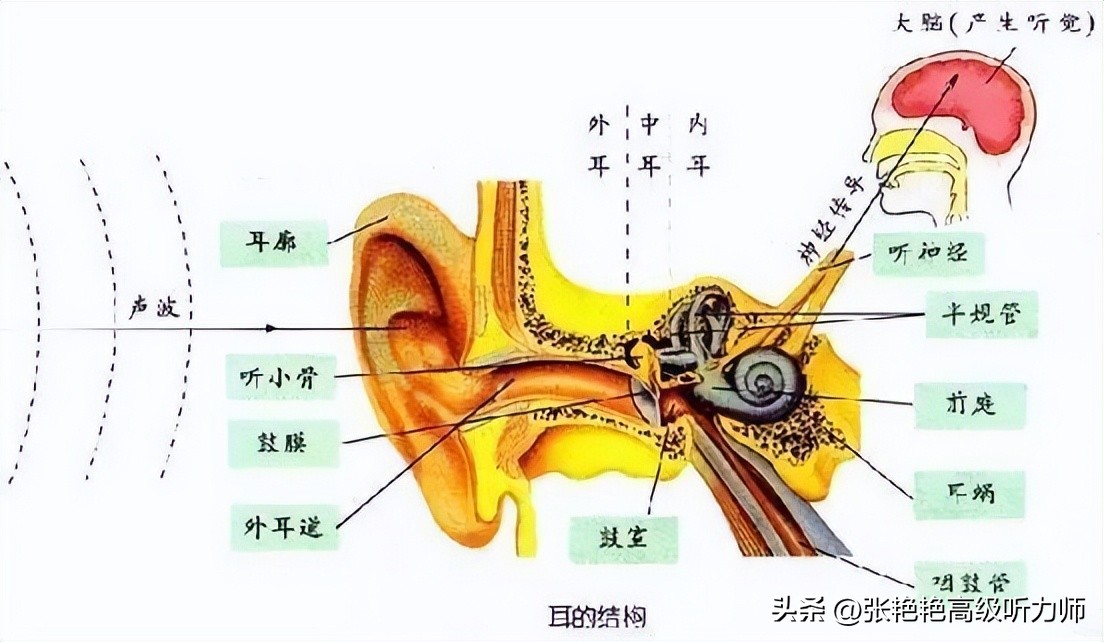 Why are good ears "back of the ear"?The causes of acquired hearing loss