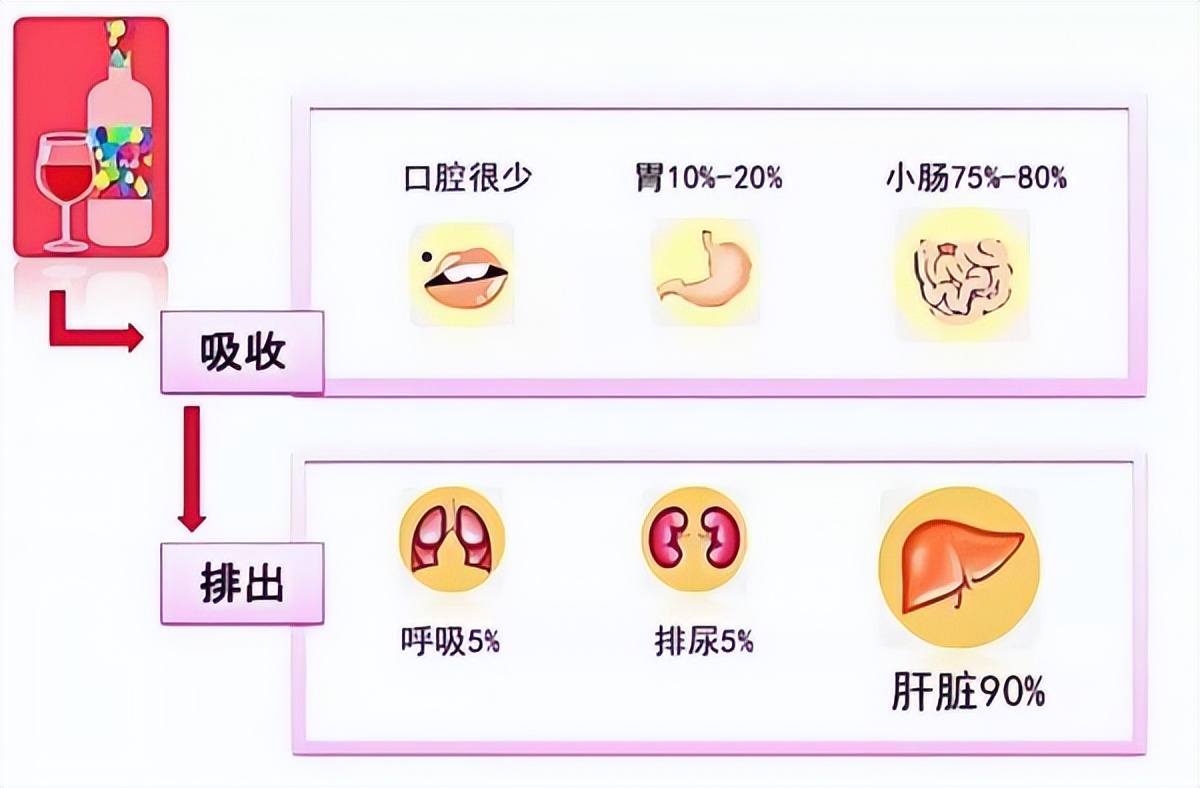 Diarrhea after drinking alcohol?It is related to these 5 reasons, I