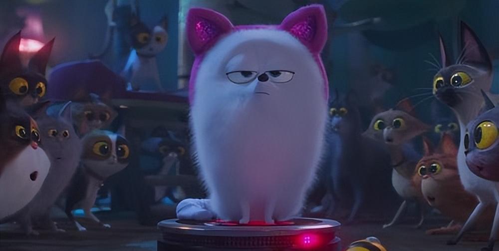 Deciphering the World of Pets: The Movie Appreciation of The Secret ...