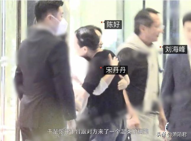 Song Dandan and Chen Hao couple at a party, Chen Hao's husband rarely ...