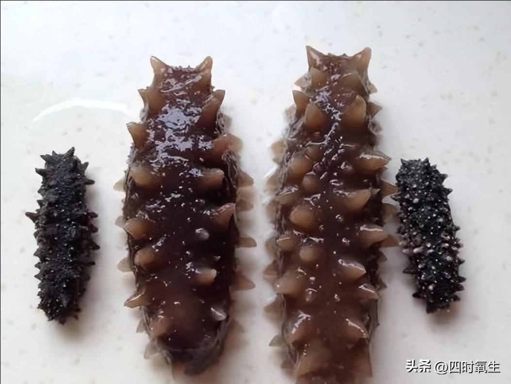 It is not difficult to teach you how to soak sea cucumber with pictures