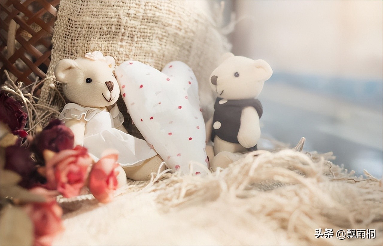 Land Rover's romantic confession: Marry when you've had enough love, I ...