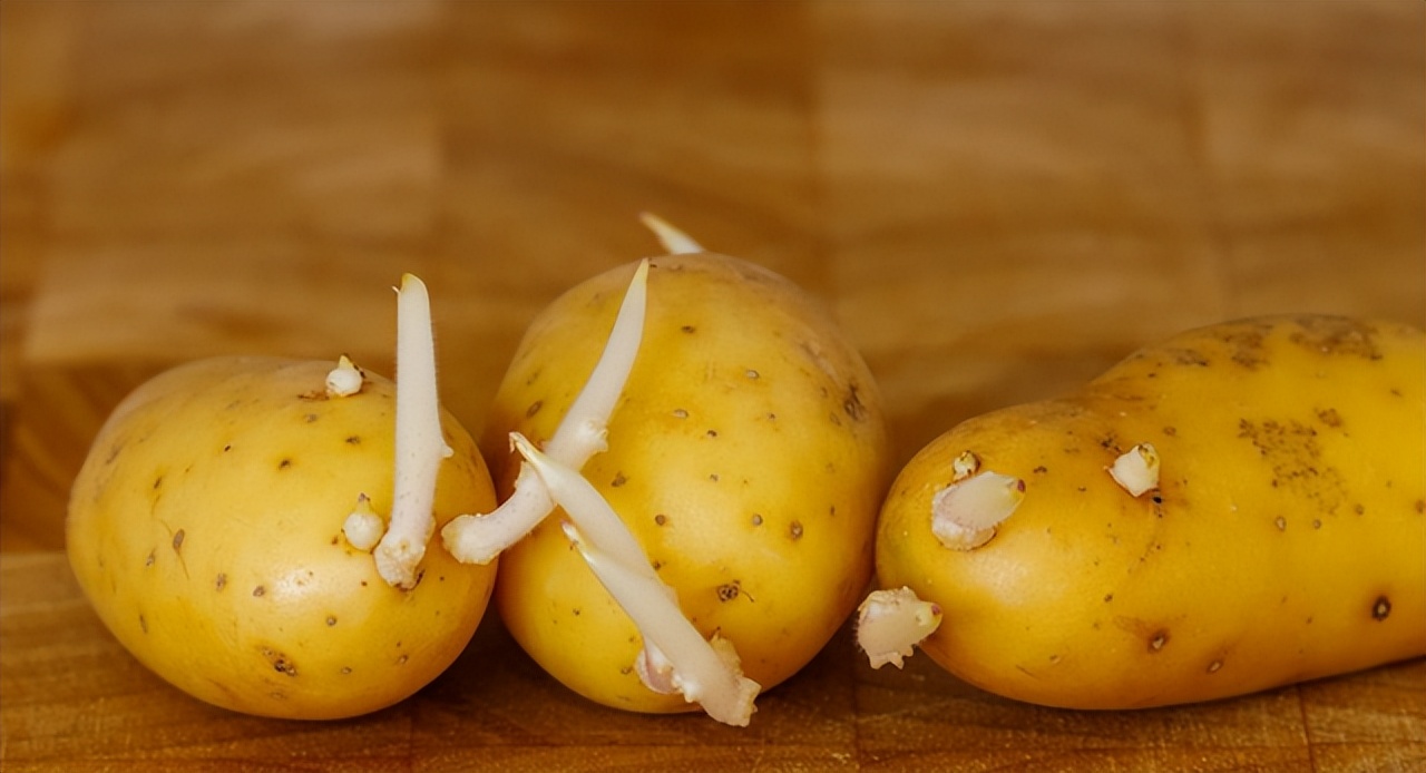 Is ginger poisonous after sprouting?The doctor reminds these 4 kinds