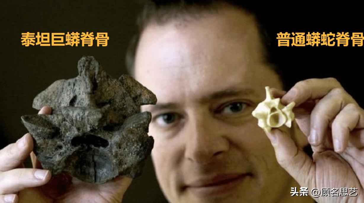 60 million years ago, the earth had a 