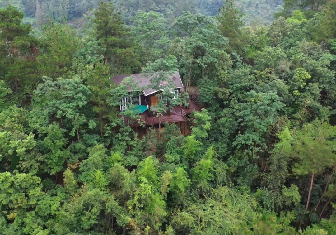 The hillside in front of Taoyuan's house is full of flowers again iMedia