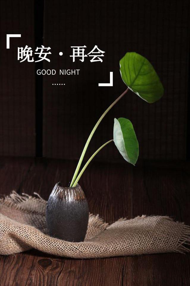 晚安語錄 忙碌、充實的一天終於結束了,卸下疲憊祝君晚安 - 資訊咖