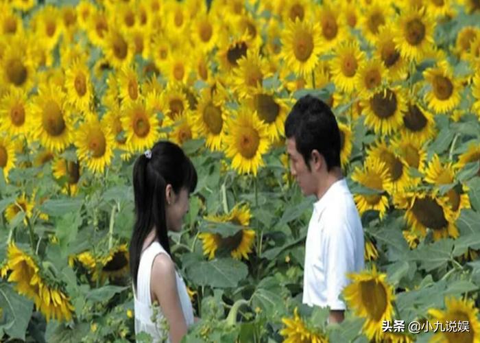 Japanese movies suitable for Valentine's Day, these 9 classic love movies, suitable for