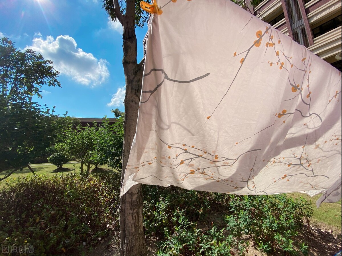 Cotton, silk, down, wool quilt has odor, how to eliminate it? iNEWS