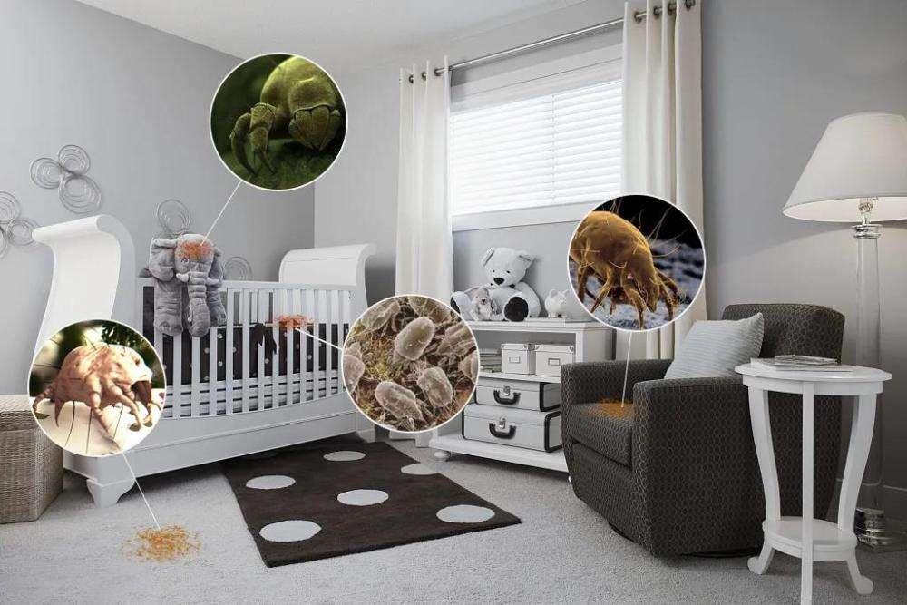 Invisible hazards, annoying dust mites, I really want to eliminate them