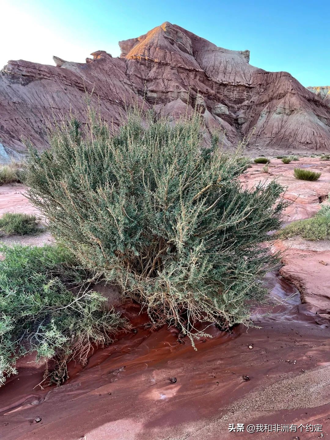 Tomur Grand Canyon at the foot of 