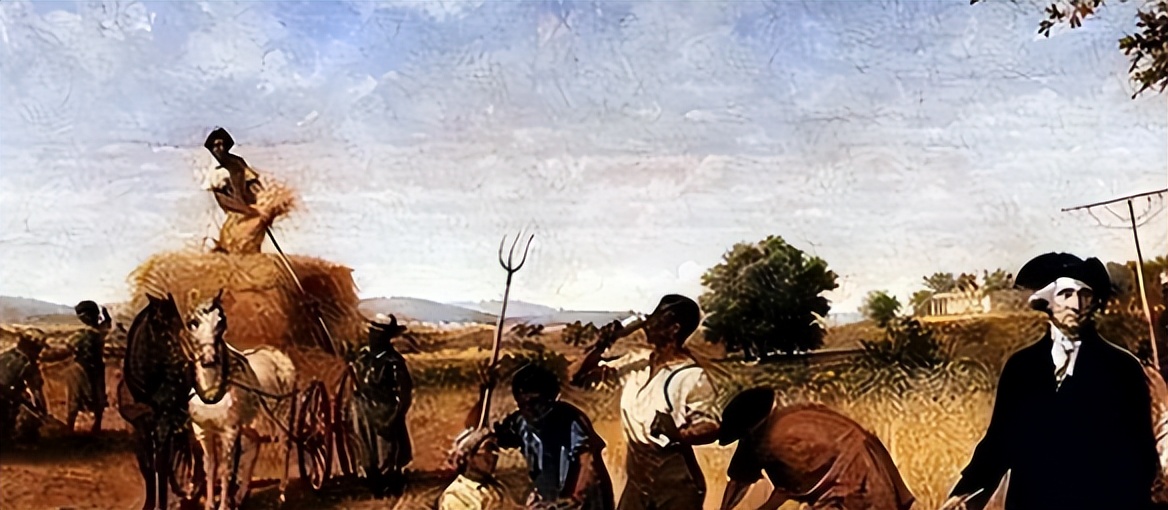 The most important peasant uprising in British history Taylor's uprising iNEWS