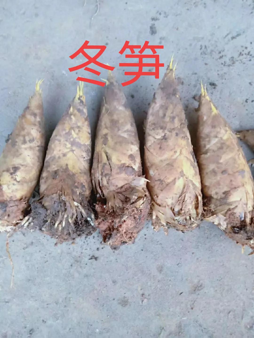 The practice of winter bamboo shoots ribs soup - iNEWS
