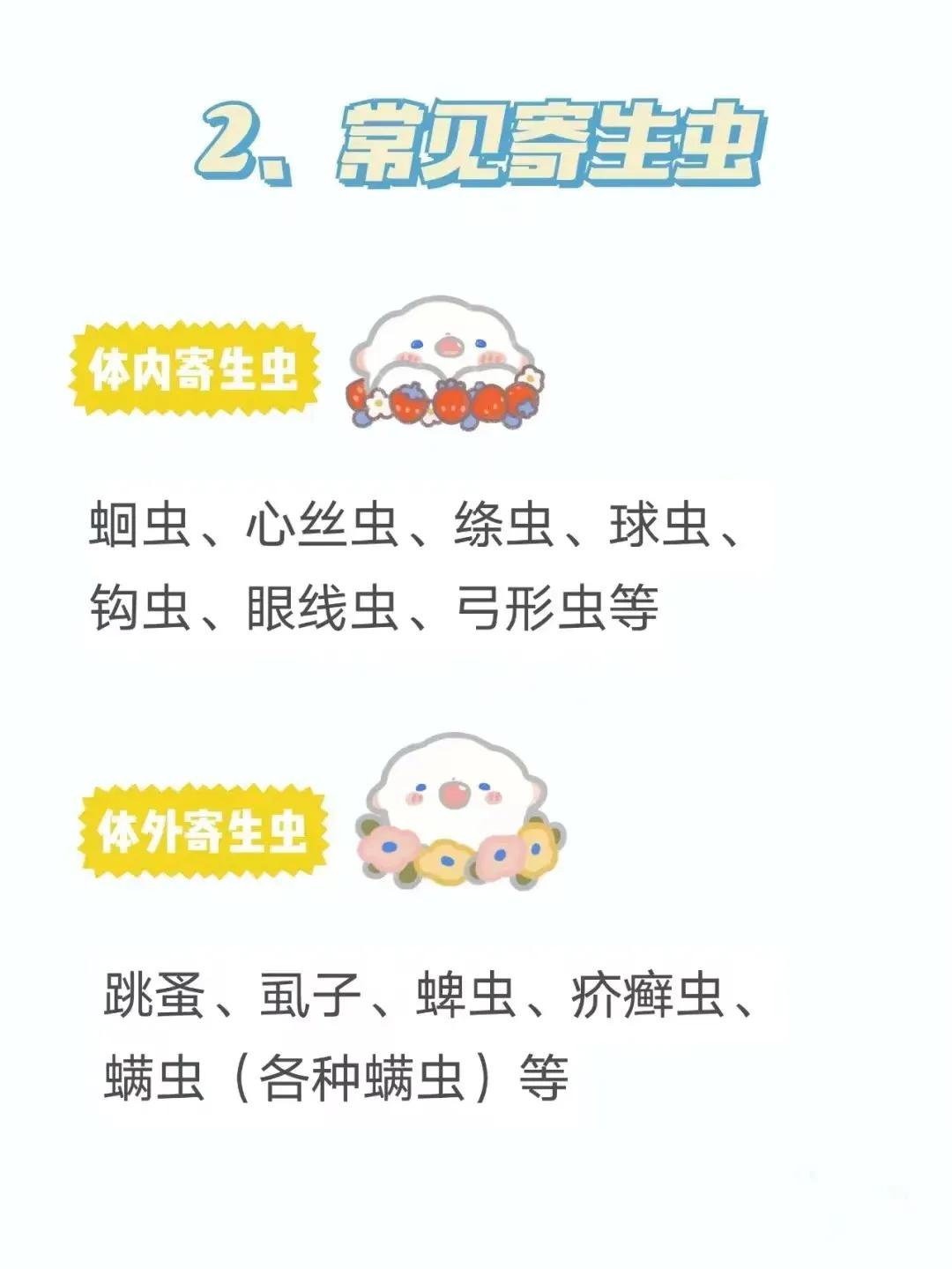 Why do cats need deworming common parasites and hazards in cats! iNEWS