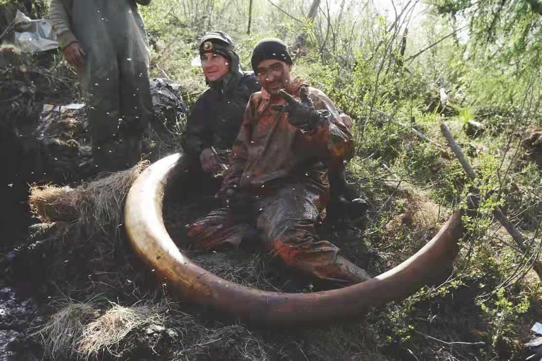 Russia continues to fight the RussianUkrainian war by selling mammoth