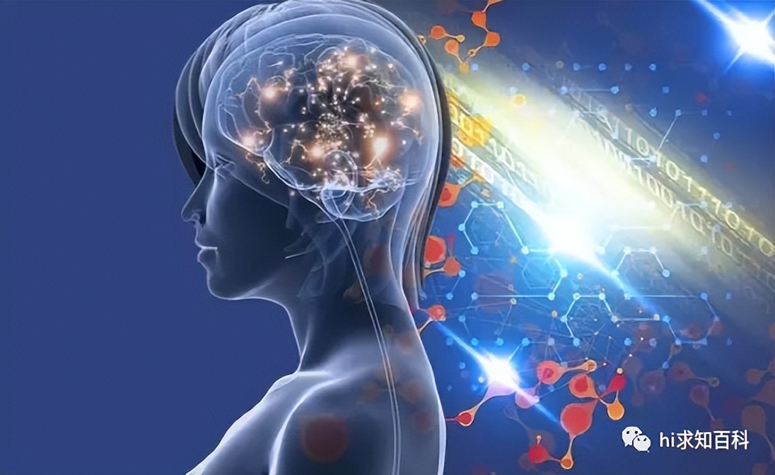 Why the Brain Erases Our Childhood Memories - iNEWS