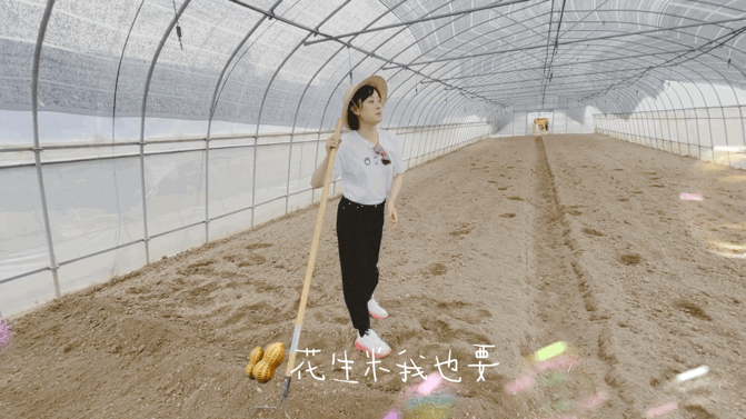 Sun Li realizes her dream of growing vegetables! Digging the ground ...