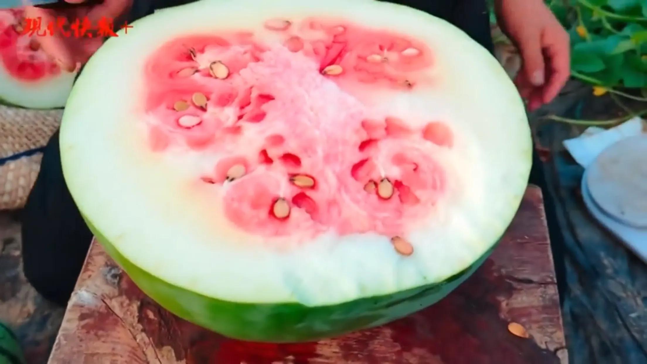 Chinese watermelon We eat sweet because she eats up the bitter iNEWS