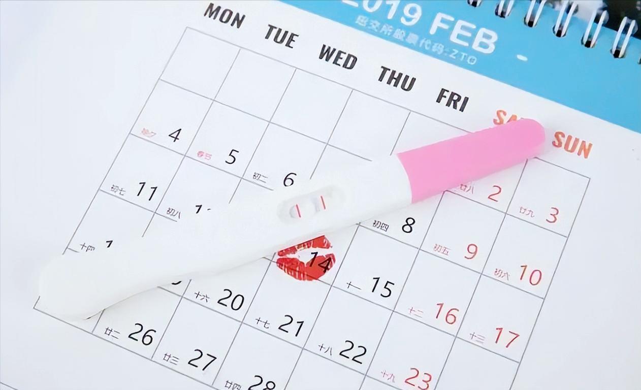 Why do humans have a fixed estrus period and hide the ovulation period