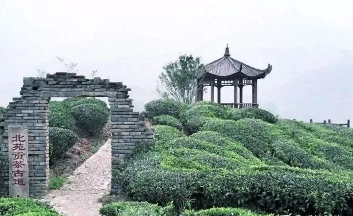 Song people's tea drinking aesthetics: Jin Nian flies green dust, Bi Ou ...