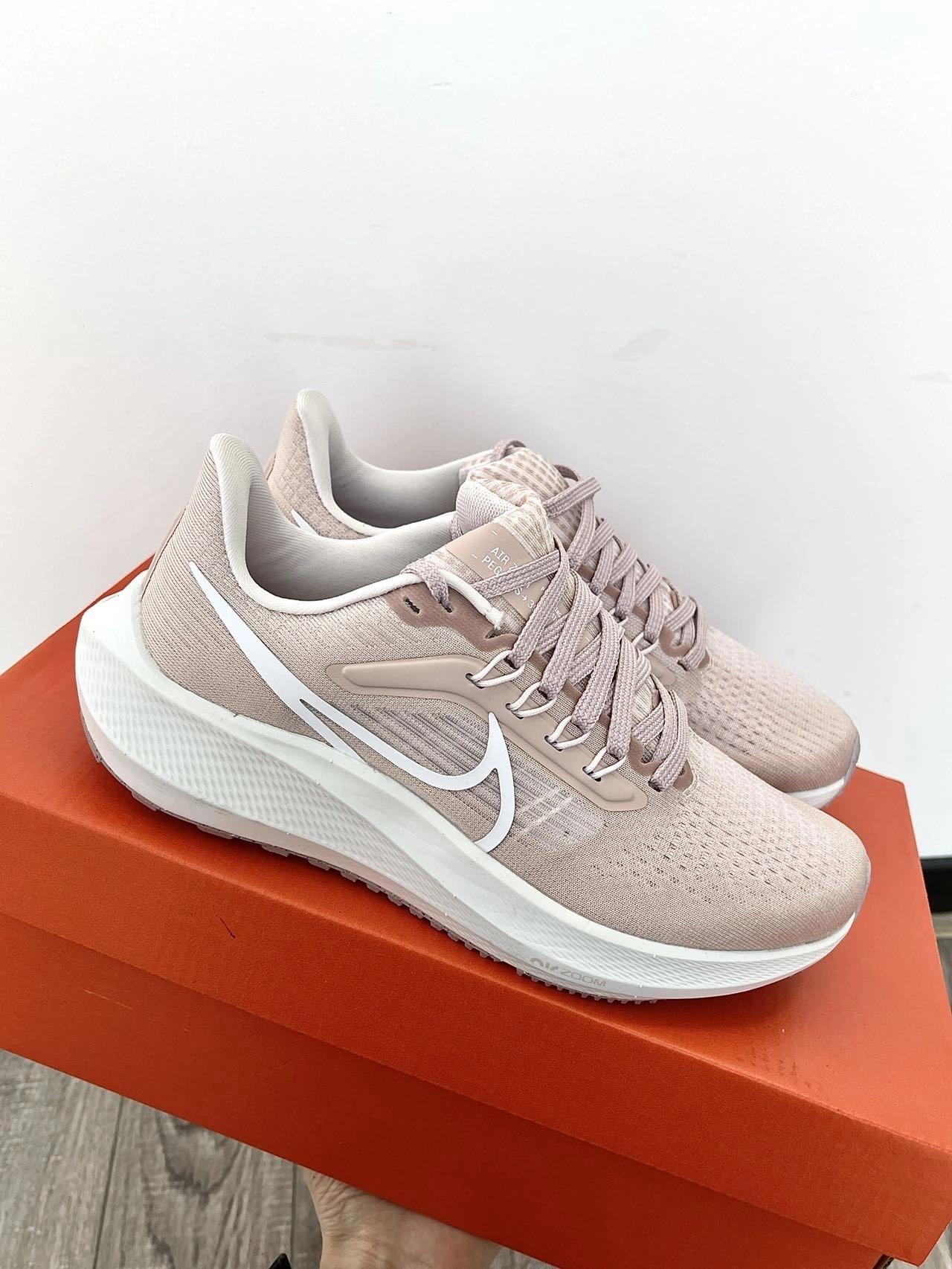 pegasus39