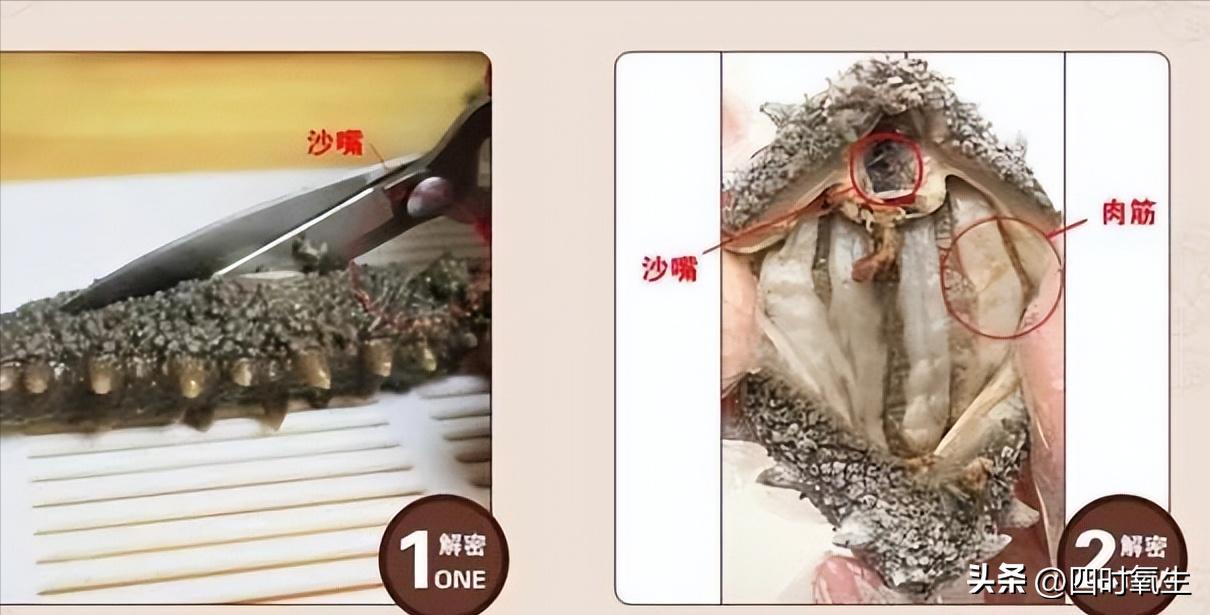 It is not difficult to teach you how to soak sea cucumber with pictures