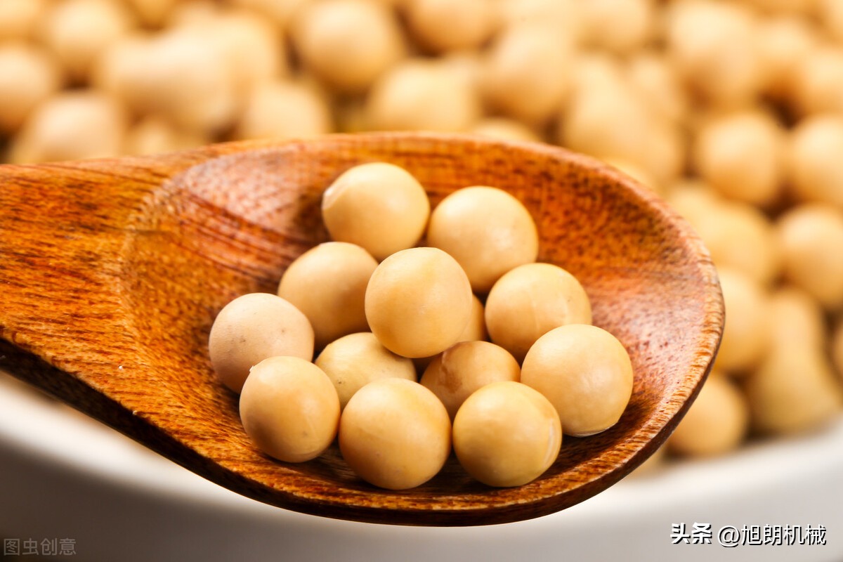 Can the soybeans be fried to be crispy? iNEWS