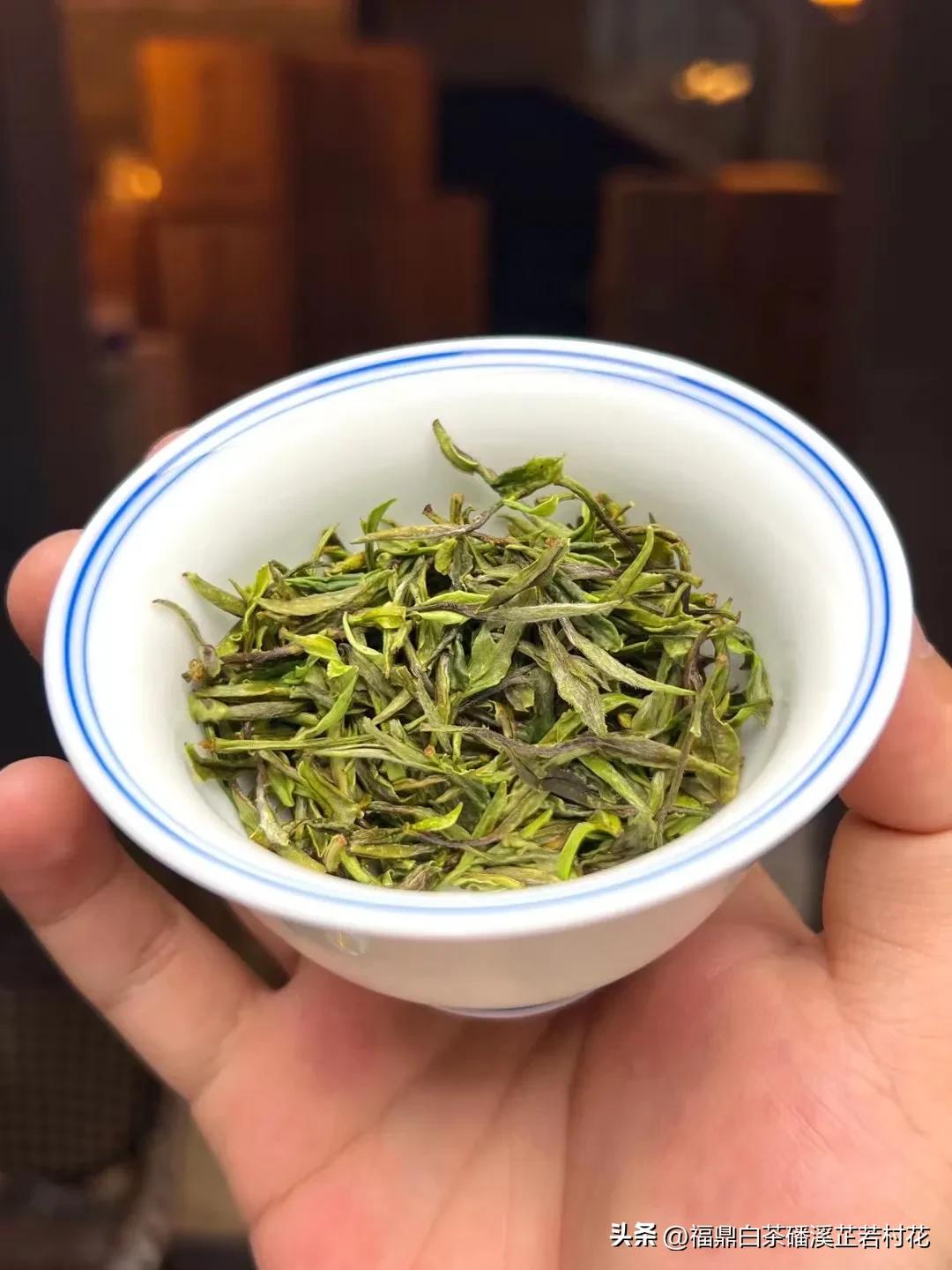 Does vintage white tea have to be more expensive than new tea? iNEWS