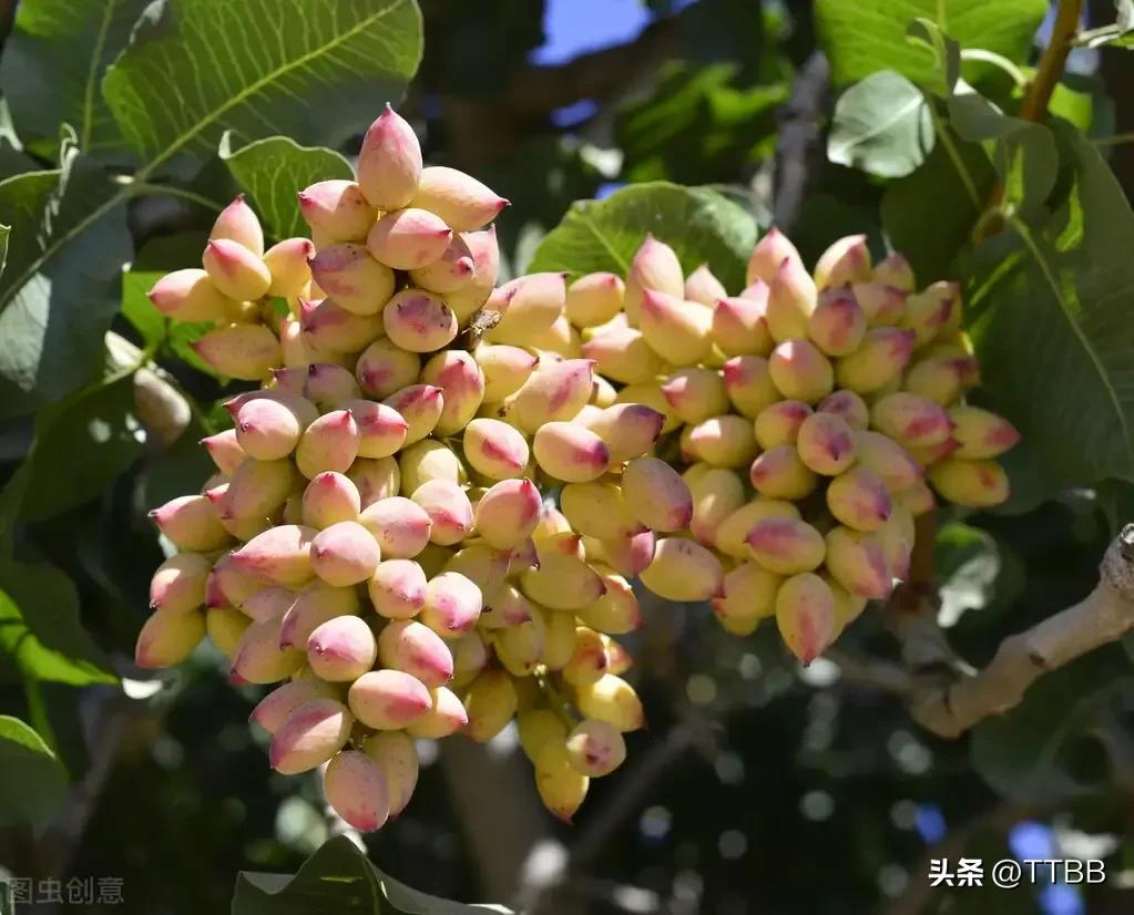 Iran's "cold knowledge"② iNEWS