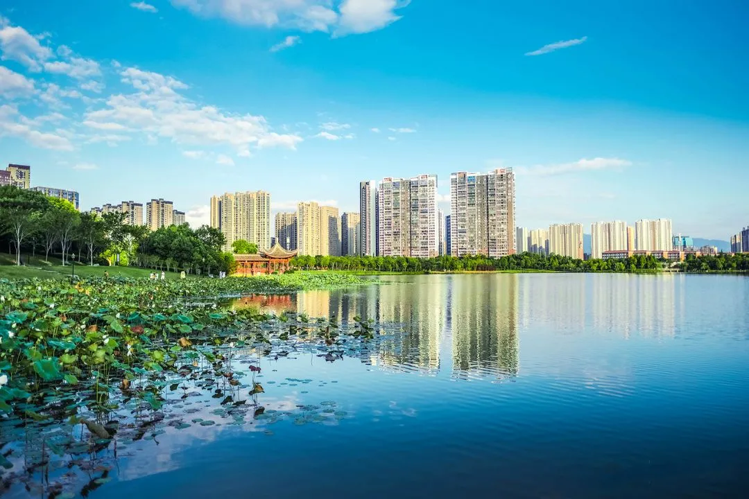 曾祥裕风水命理工作室工作室开启学术研究与交流的新篇章