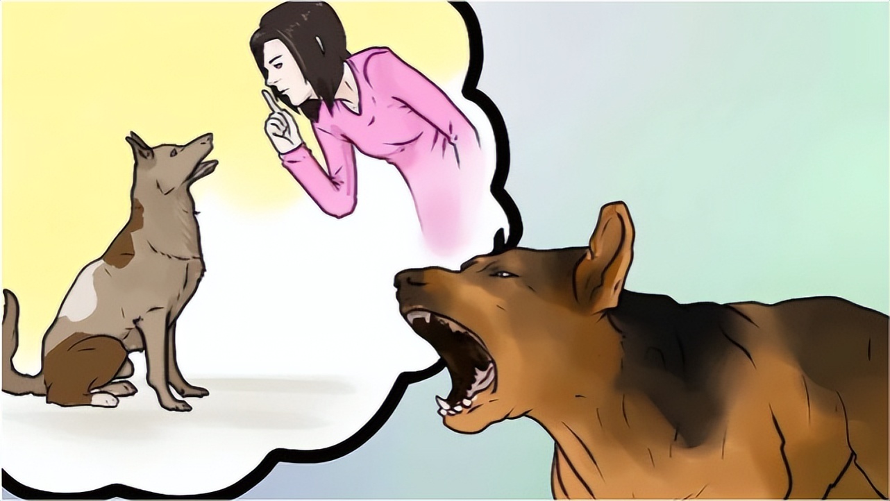 How to effectively control dog barking? iNEWS