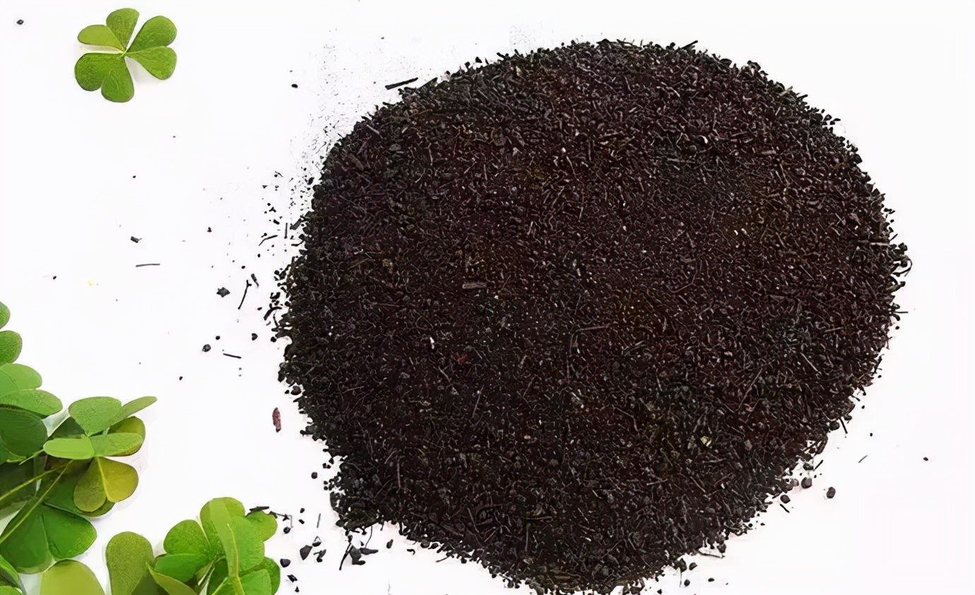 How to properly fertilize flowers at fertilizer or