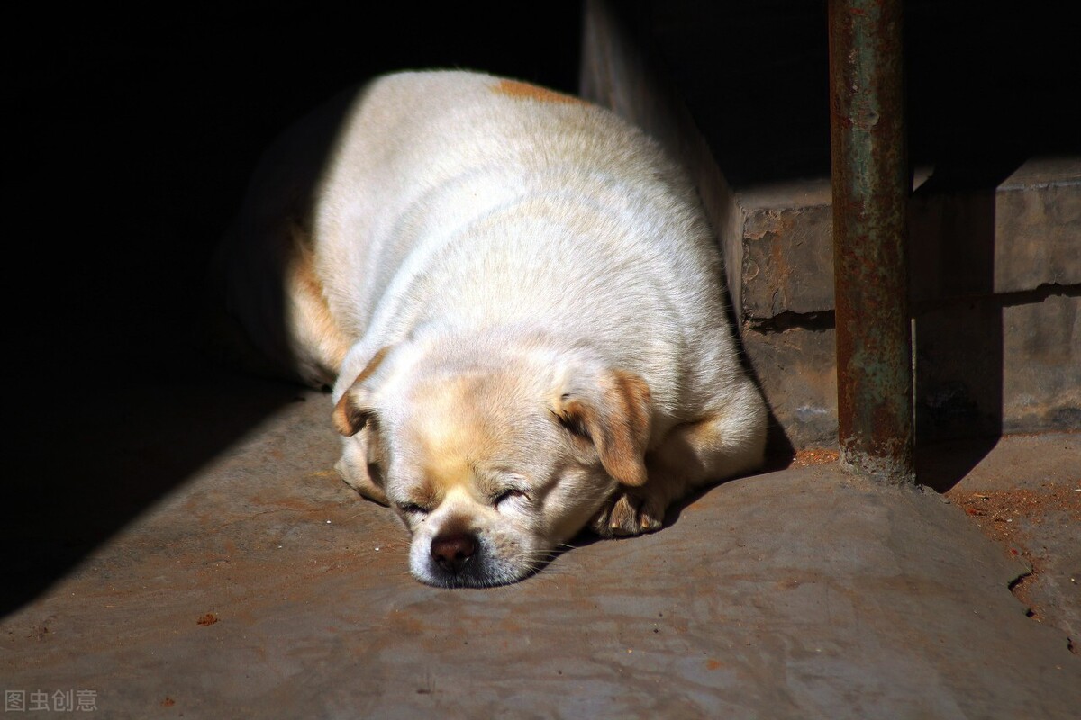 Is there a scientific basis for spring sleepiness and autumn lack? - iNEWS