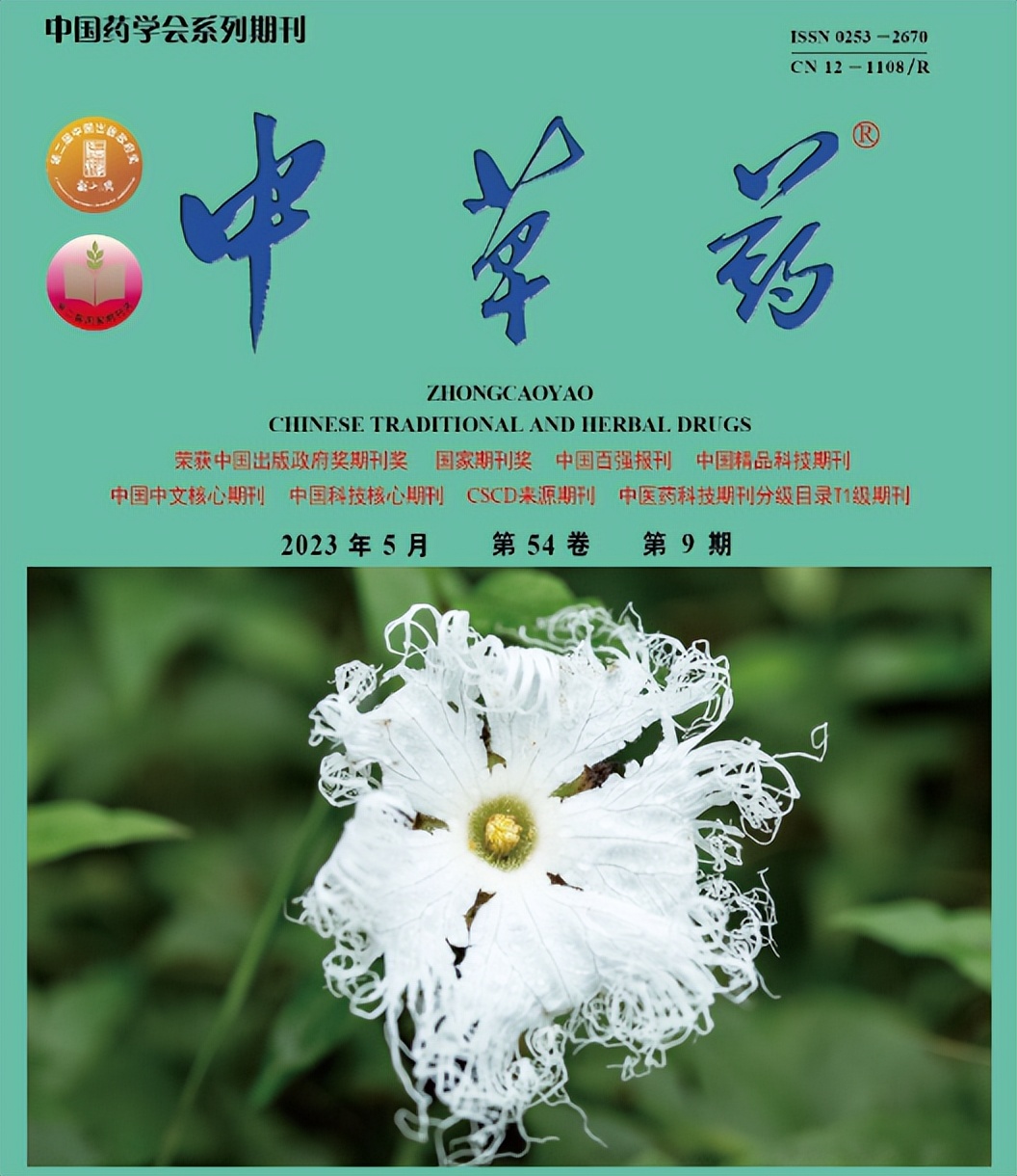 桑黃中的酚類化合物研究進展 - 資訊咖