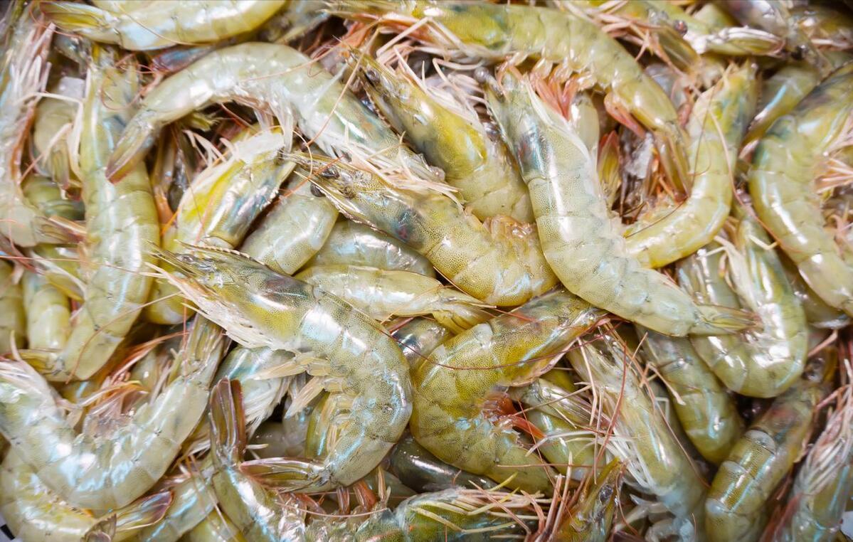 When buying prawns, choose straight or curved? An old fisherman reveals ...