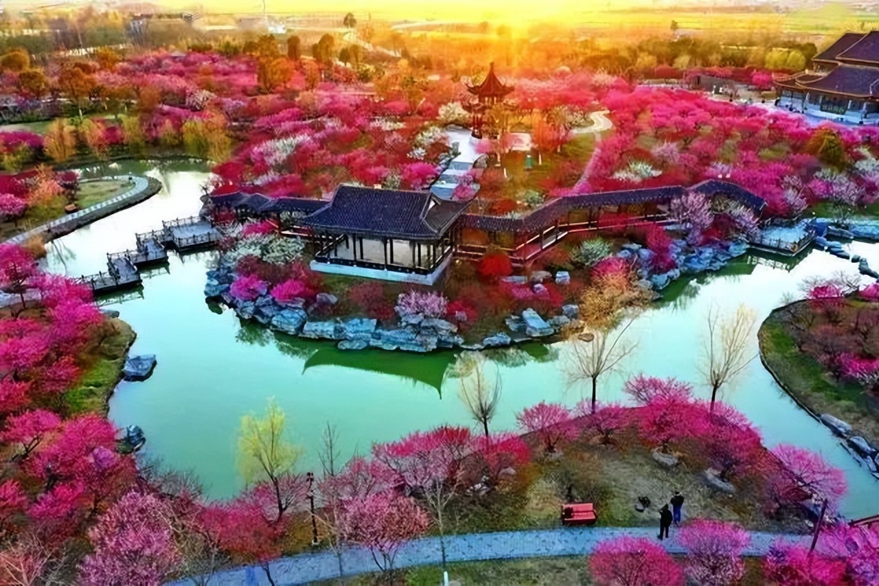 Exploring Plum Blossom Bay In Spring IMedia plum-blossom-pictures