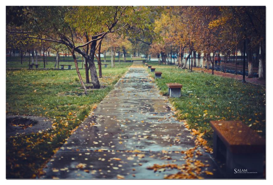 Sentimental Autumn Gently sentimental in the autumn rain - iNEWS