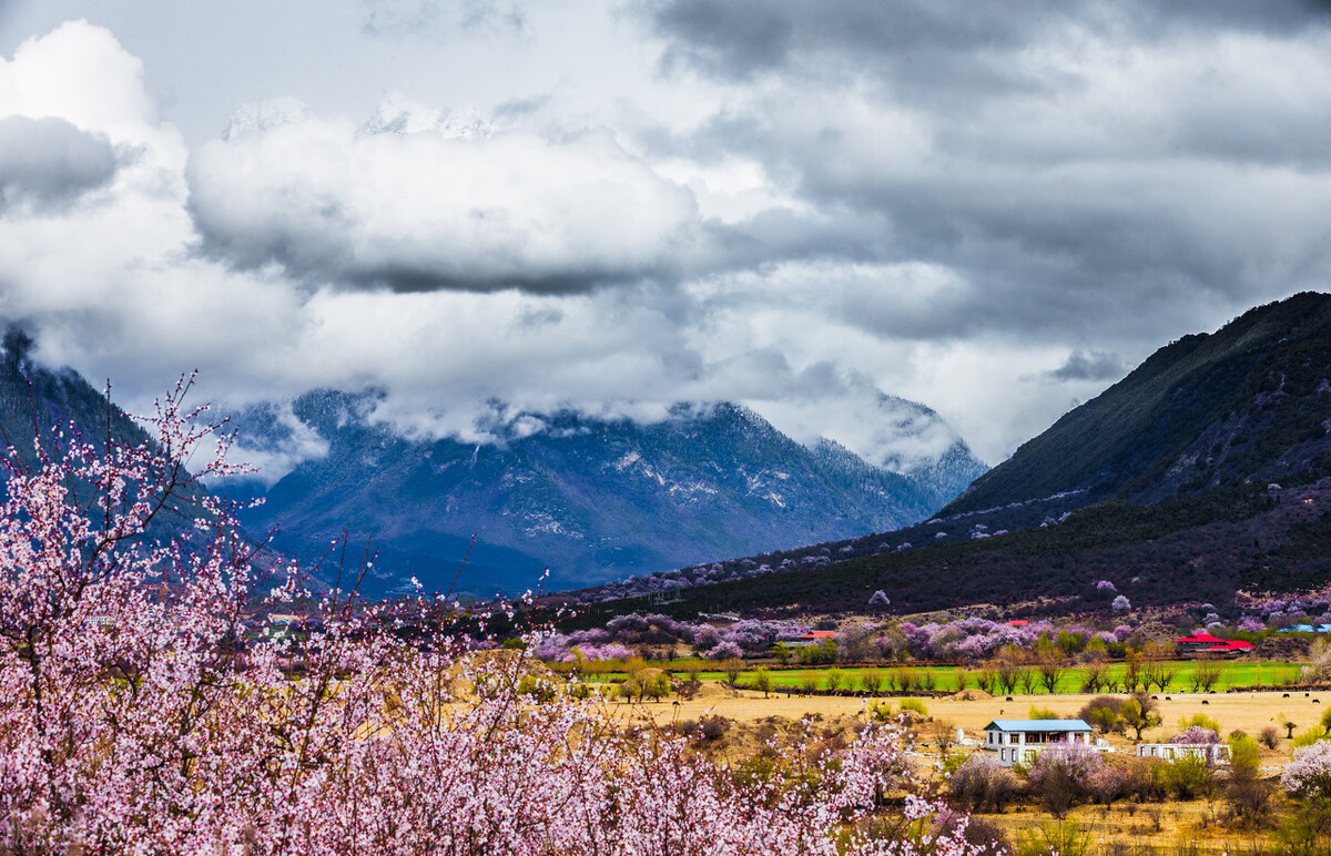 Go to Tibet in March to spend the Tibetan calendar year and enjoy the ...
