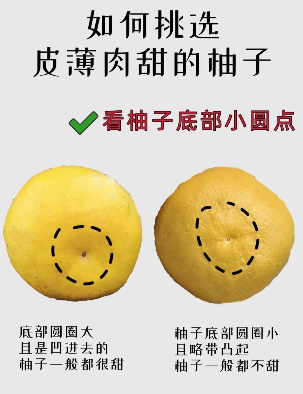 Eating grapefruit is good for nutrition. How to choose highquality and