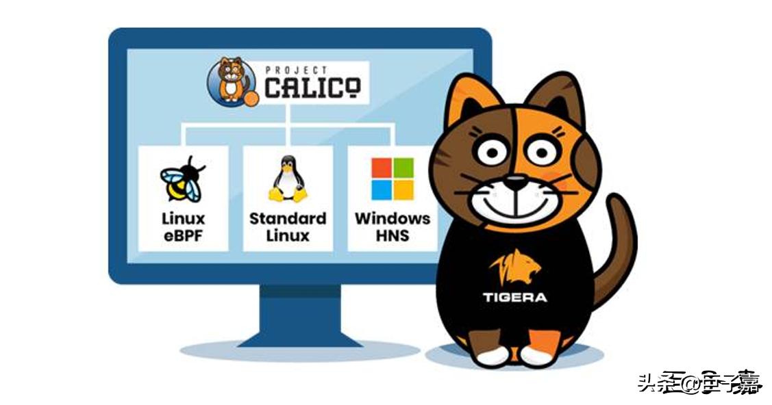 Detailed Explanation of Kubernetes Network Plugin - Calico - Overview ...