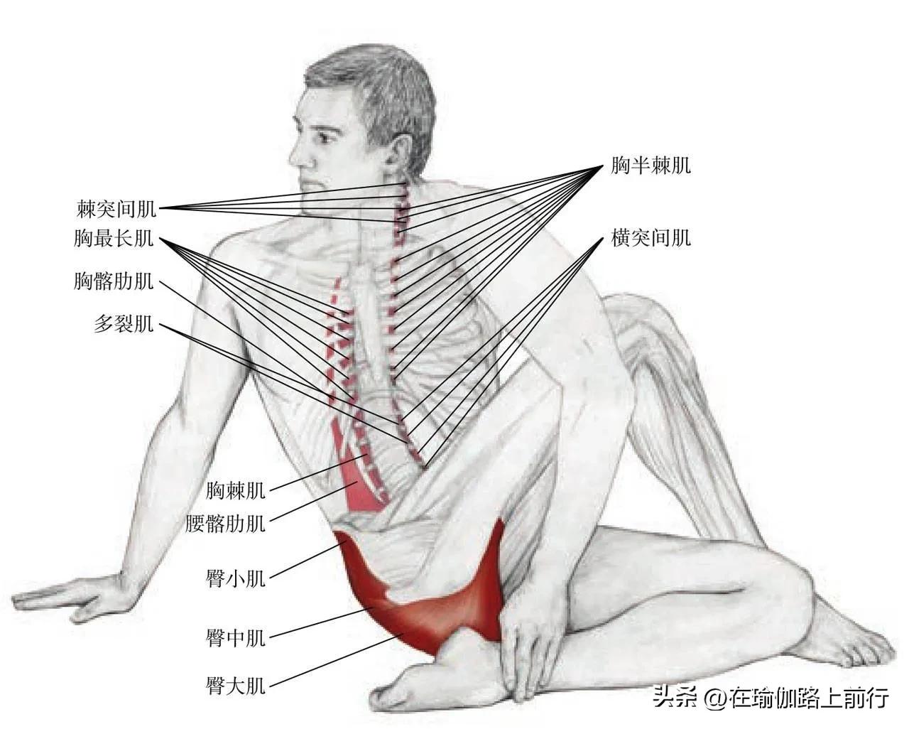 Stretch - ribs - iNEWS