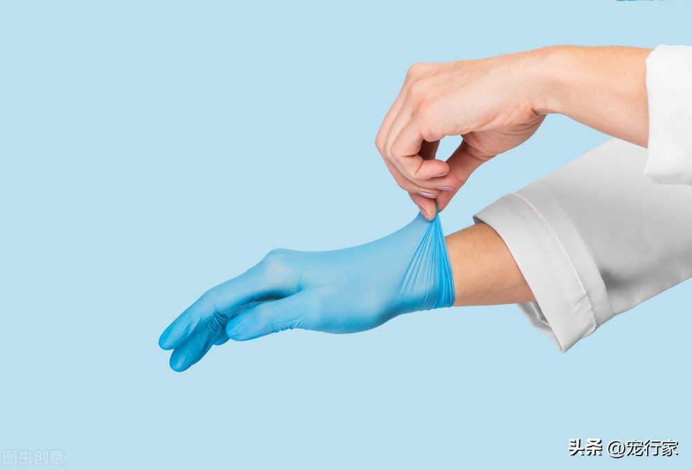 Can you clean the cat litter box with your hands?Some details you may