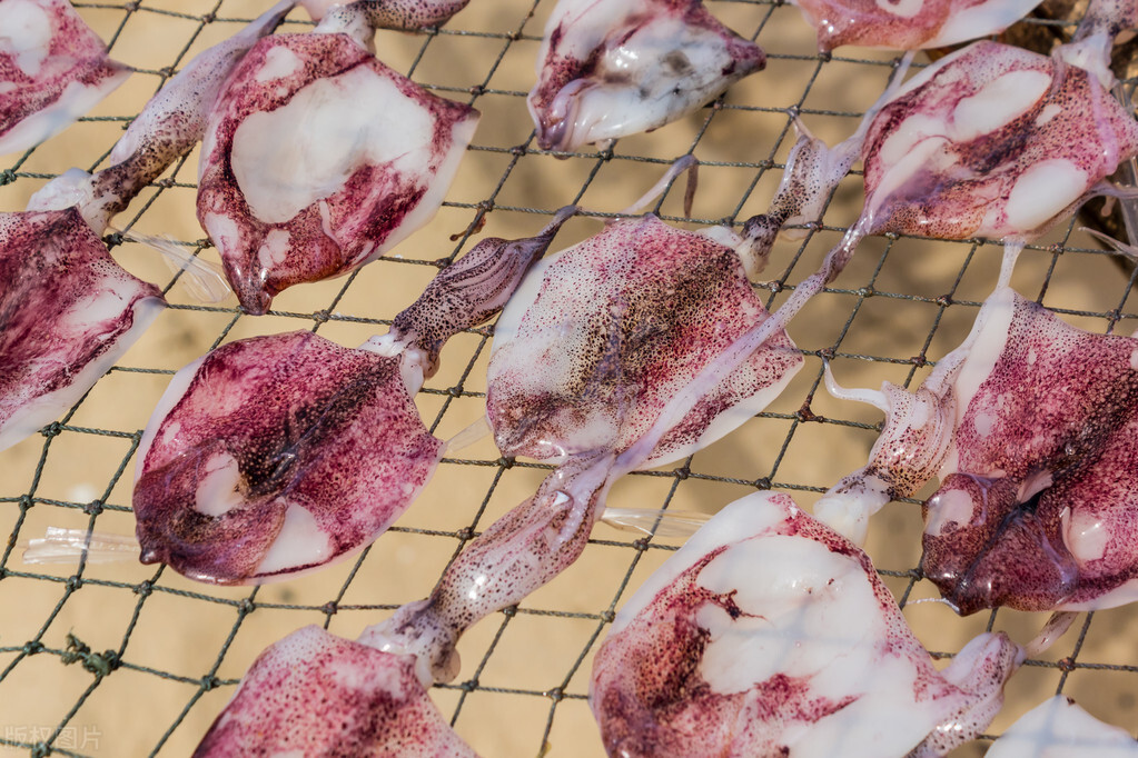 Soak dried squid, you can't just put salt, the fishermen teach you a