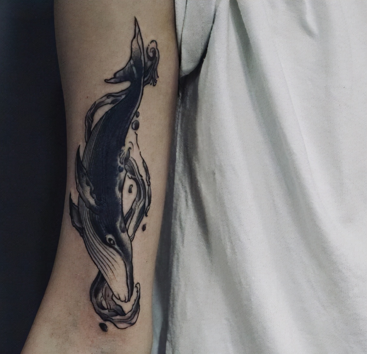 紋身題材詳解之·鯨魚紋身（鯨魚紋身的寓意/鯨魚紋身圖案） - 資訊咖