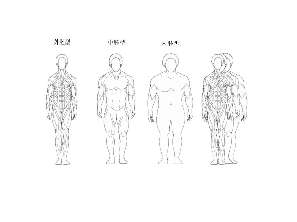 Health Training Know Your Body Type iNEWS